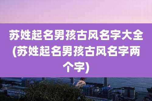 苏姓起名男孩古风名字大全(苏姓起名男孩古风名字两个字)
