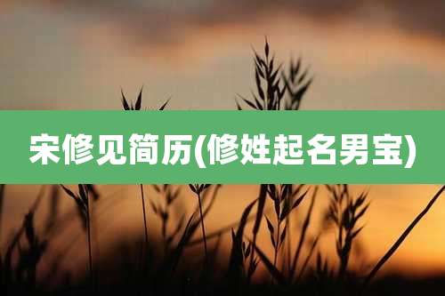 宋修见简历(修姓起名男宝)
