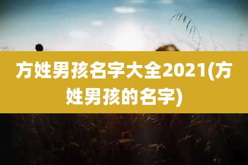 方姓男孩名字大全2021(方姓男孩的名字)