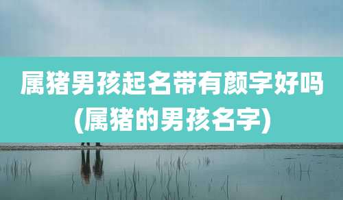 属猪男孩起名带有颜字好吗(属猪的男孩名字)