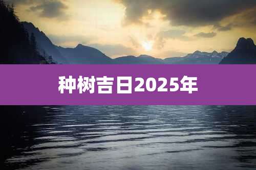 种树吉日2025年