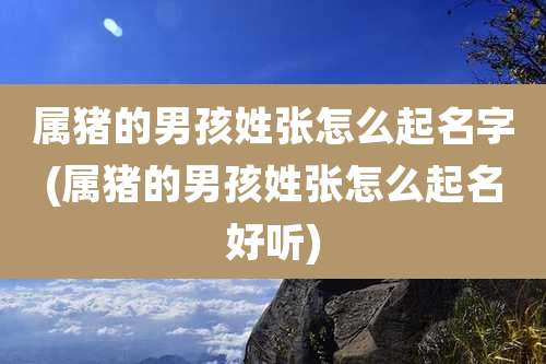 属猪的男孩姓张怎么起名字(属猪的男孩姓张怎么起名好听)