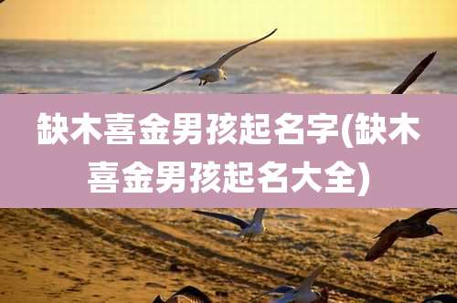 缺木喜金男孩起名字(缺木喜金男孩起名大全)