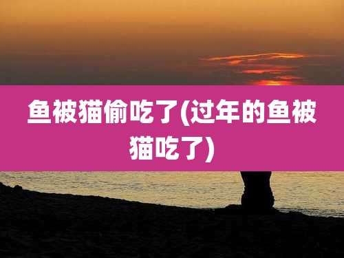 鱼被猫偷吃了(过年的鱼被猫吃了)