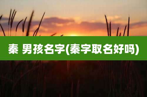 秦 男孩名字(秦字取名好吗)