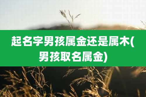 起名字男孩属金还是属木(男孩取名属金)