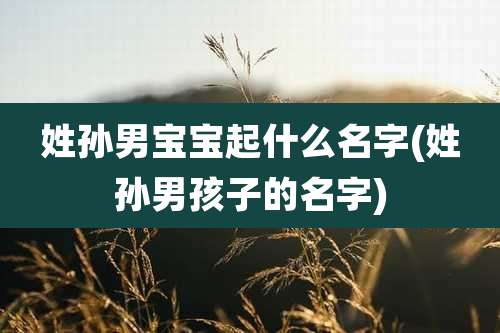 姓孙男宝宝起什么名字(姓孙男孩子的名字)