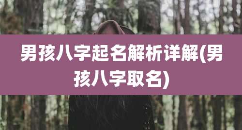 男孩八字起名解析详解(男孩八字取名)