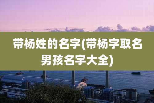 带杨姓的名字(带杨字取名男孩名字大全)