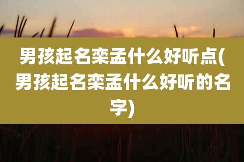 男孩起名栾孟什么好听点(男孩起名栾孟什么好听的名字)