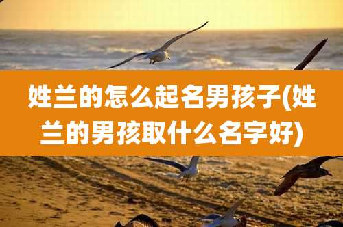 姓兰的怎么起名男孩子(姓兰的男孩取什么名字好)