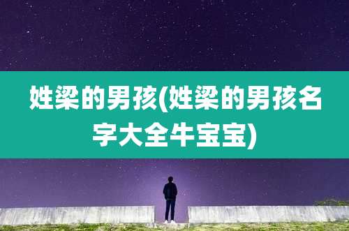 姓梁的男孩(姓梁的男孩名字大全牛宝宝)