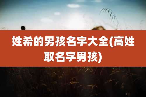 姓希的男孩名字大全(高姓取名字男孩)