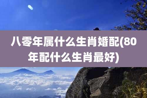 八零年属什么生肖婚配(80年配什么生肖最好)