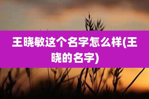 王晓敏这个名字怎么样(王晓的名字)