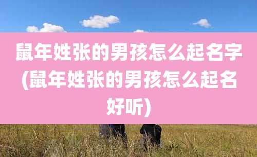 鼠年姓张的男孩怎么起名字(鼠年姓张的男孩怎么起名好听)