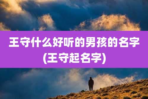 王守什么好听的男孩的名字(王守起名字)