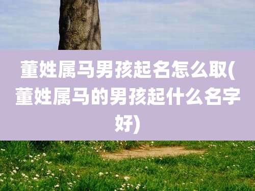 董姓属马男孩起名怎么取(董姓属马的男孩起什么名字好)