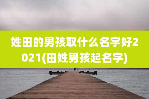 姓田的男孩取什么名字好2021(田姓男孩起名字)