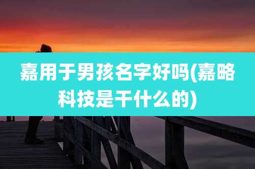 嘉用于男孩名字好吗(嘉略科技是干什么的)