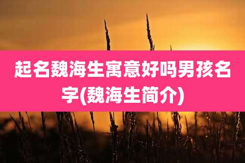 起名魏海生寓意好吗男孩名字(魏海生简介)