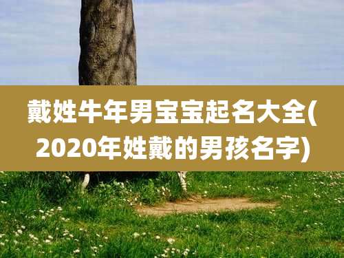 戴姓牛年男宝宝起名大全(2020年姓戴的男孩名字)