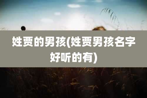 姓贾的男孩(姓贾男孩名字好听的有)