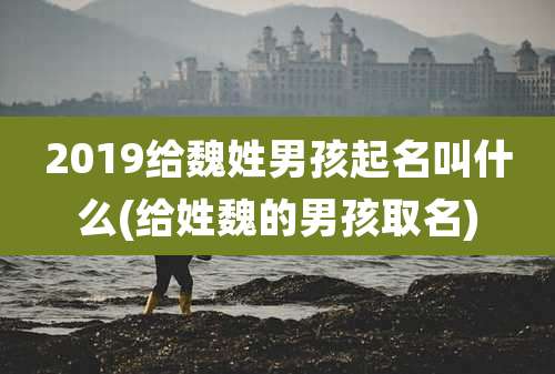 2019给魏姓男孩起名叫什么(给姓魏的男孩取名)