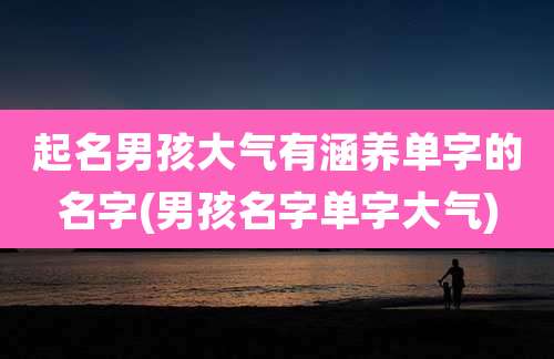 起名男孩大气有涵养单字的名字(男孩名字单字大气)