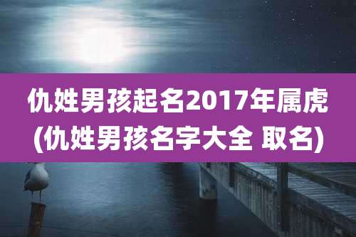 仇姓男孩起名2017年属虎(仇姓男孩名字大全 取名)