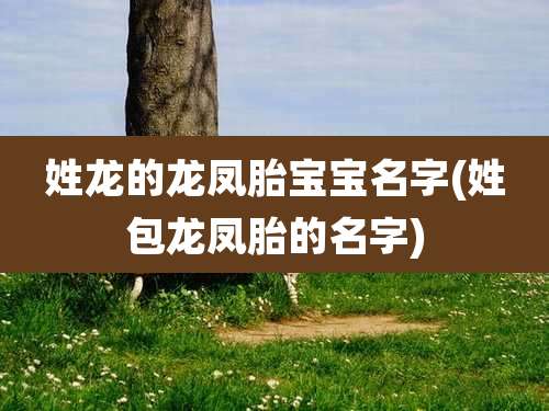 姓龙的龙凤胎宝宝名字(姓包龙凤胎的名字)