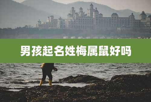 男孩起名姓梅属鼠好吗