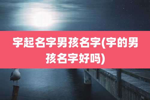 宇起名字男孩名字(宇的男孩名字好吗)