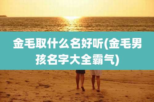 金毛取什么名好听(金毛男孩名字大全霸气)