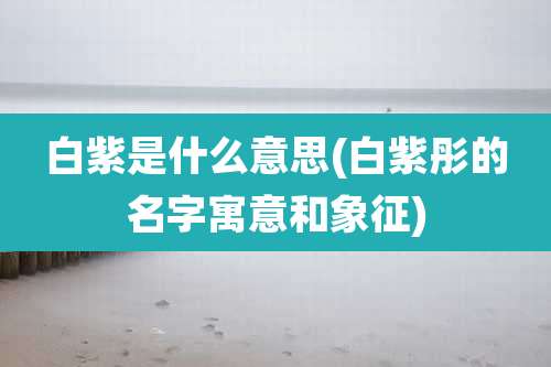 白紫是什么意思(白紫彤的名字寓意和象征)