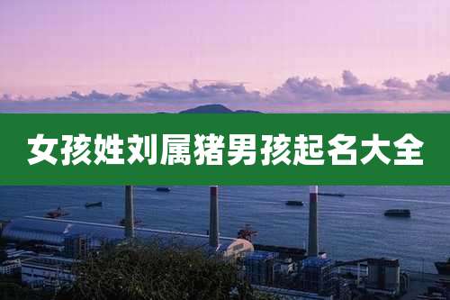 女孩姓刘属猪男孩起名大全