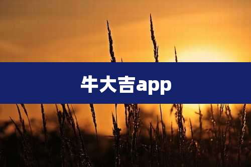 牛大吉app