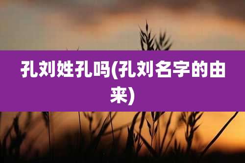 孔刘姓孔吗(孔刘名字的由来)