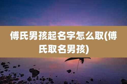 傅氏男孩起名字怎么取(傅氏取名男孩)