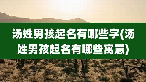 汤姓男孩起名有哪些字(汤姓男孩起名有哪些寓意)
