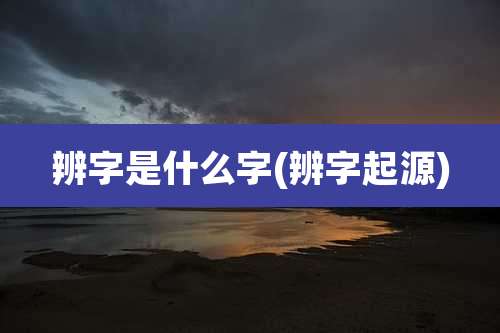 辨字是什么字(辨字起源)