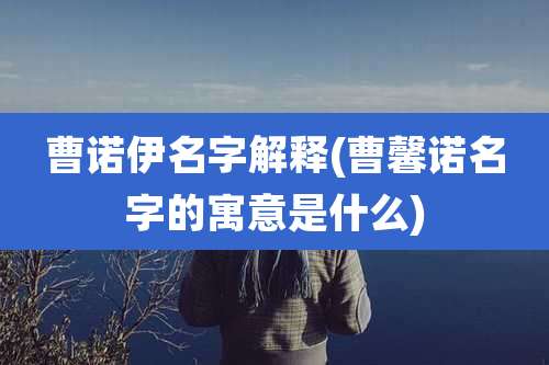 曹诺伊名字解释(曹馨诺名字的寓意是什么)