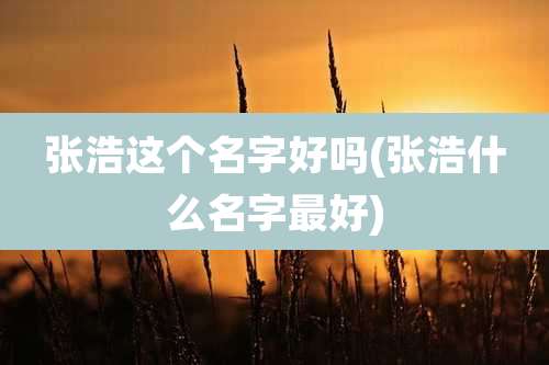 张浩这个名字好吗(张浩什么名字最好)