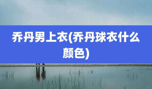 乔丹男上衣(乔丹球衣什么颜色)