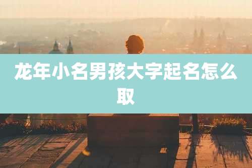 龙年小名男孩大字起名怎么取