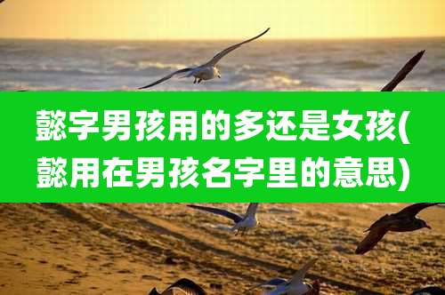 懿字男孩用的多还是女孩(懿用在男孩名字里的意思)