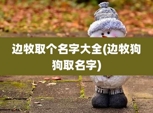 边牧取个名字大全(边牧狗狗取名字)