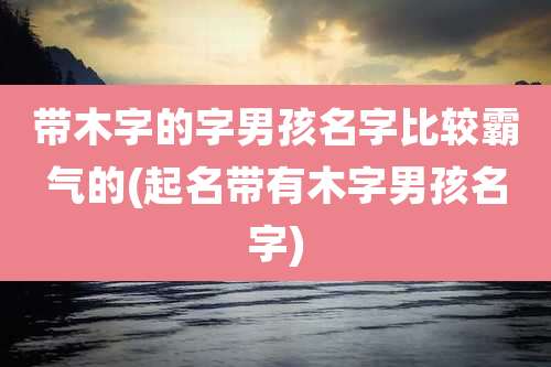 带木字的字男孩名字比较霸气的(起名带有木字男孩名字)