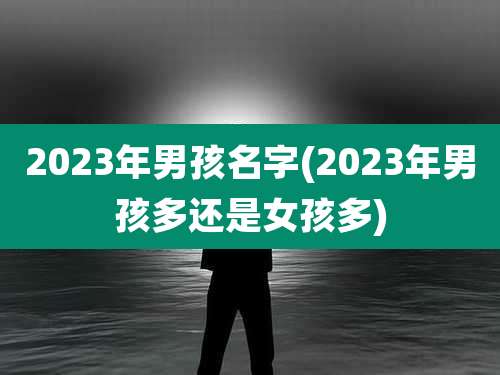 2023年男孩名字(2023年男孩多还是女孩多)