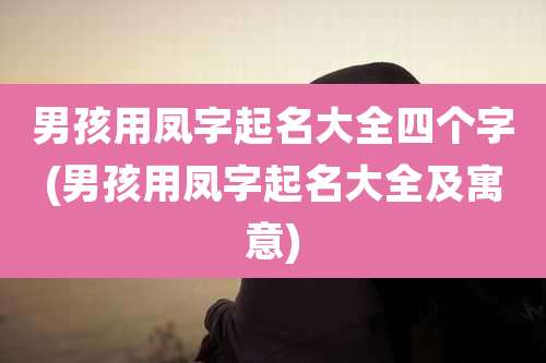 男孩用凤字起名大全四个字(男孩用凤字起名大全及寓意)